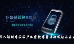 深入解析中国国产加密数